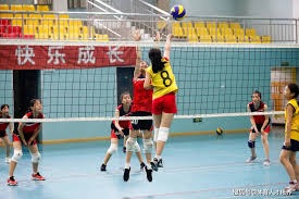 高风险高回报！凯尔特人欲10换1交易豪赌浓眉，组建四巨头冲冠