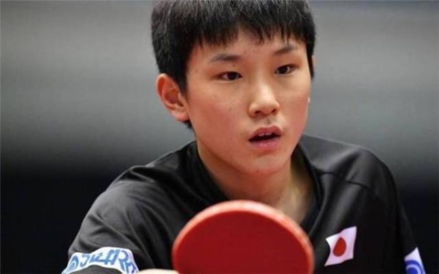 不仅捍卫了 不仅捍卫了